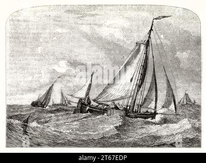 Alte Illustration von Fischerbooten auf der Dogger Bank, Nordsee. Von Linton, Publ. Auf Magasin Pittoresque, Paris, 1851 Stockfoto