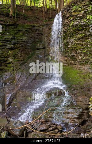 Bucktail Falls in den Finger Lakes Stockfoto