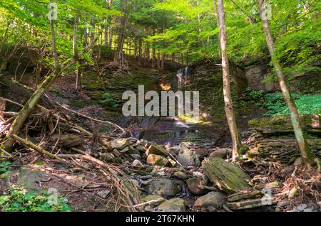 Abgeschiedener Wasserfall in den Finger Lakes von Upstate New York Stockfoto