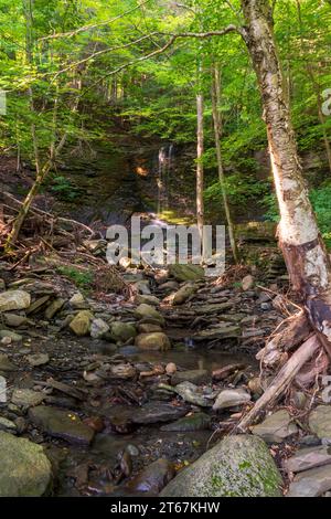 Abgeschiedener Wasserfall in den Finger Lakes von Upstate New York Stockfoto