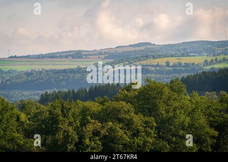 Die Hinchcliff Family Preserve im Bundesstaat New York Stockfoto