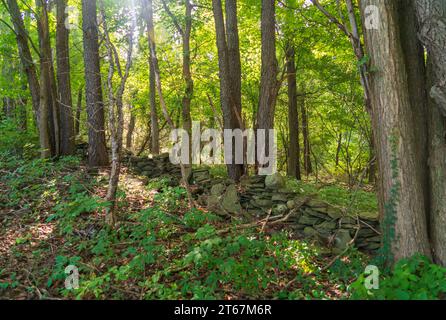 Die Hinchcliff Family Preserve im Bundesstaat New York Stockfoto