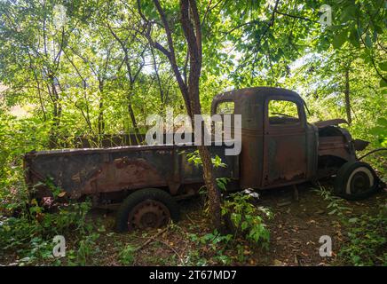 Ein verlassener Truck im Hinchcliff Family Preserve in Upstate New York Stockfoto