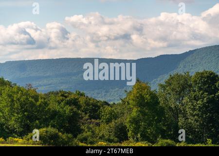 Die Hinchcliff Family Preserve im Bundesstaat New York Stockfoto