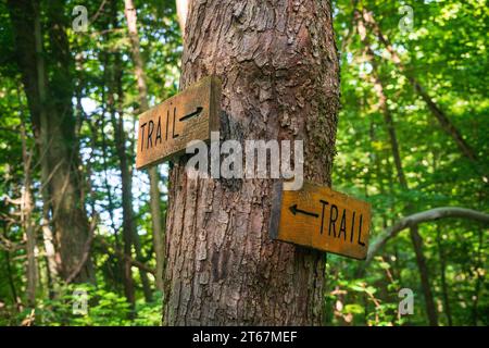 Die Hinchcliff Family Preserve im Bundesstaat New York Stockfoto