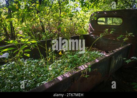 Ein verlassener Truck im Hinchcliff Family Preserve in Upstate New York Stockfoto