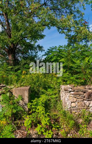 Die Hinchcliff Family Preserve im Bundesstaat New York Stockfoto