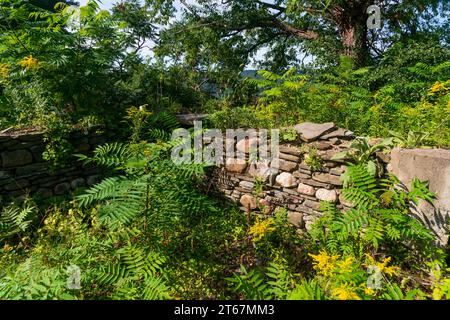 Die Hinchcliff Family Preserve im Bundesstaat New York Stockfoto