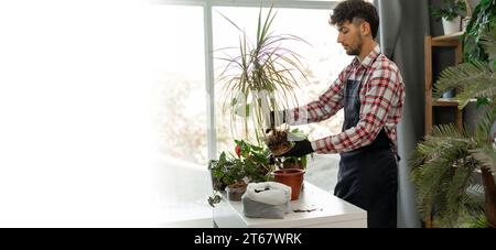 Frühjahrspflanzenpflege, arabischer Mann, der Zimmerpflanzen umtopft. Pflanze zu Hause in einen neuen Topf umpflanzen. Banner. Stockfoto