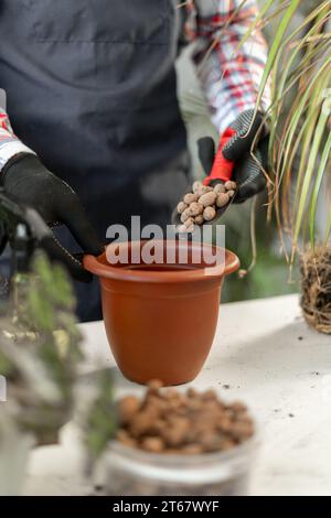 Abgeschnittener Schuss eines Mannes, der Drainage in den Blumentopf während der Vorbereitung auf die Pflanzentransplantation zu Hause. Frühjahrspflanzenpflege Stockfoto