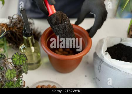 Frühjahrspflanzenpflege, Umtopfen von Zimmerpflanzen. Der Mensch pflanzt Pflanze in einen neuen Topf um. Männlicher Gärtner, der Pflanzen zu Hause verpflanzt Stockfoto