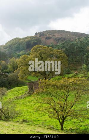 Blick auf Hen Cloud von Ramshaw Rocks, Staffordshire, England Stockfoto