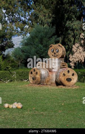 Eine vertikale aus Heuballen, die als Bär auf einem grünen Feld angeordnet sind Stockfoto