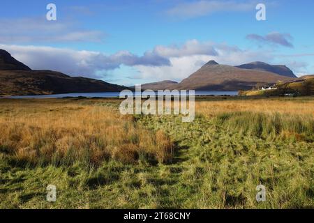 Das Inchnadamph Estate, Loch Assynt, Sutherland, Nordwest Schottland, Großbritannien mit Glas Bheinn (776 m) dahinter. Stockfoto
