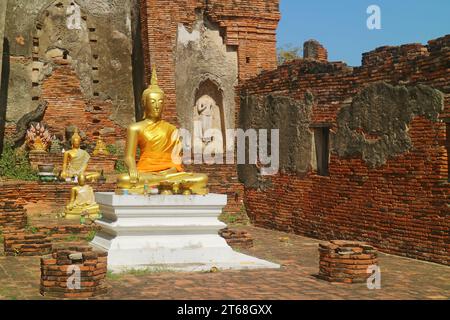 Wunderschöne goldene Buddha-Bilder vor der alten Struktur des Wat Choeng Tha Tempels in Ayutthaya, Thailand Stockfoto