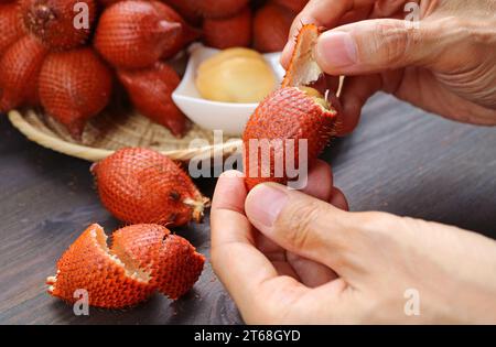 Die Spitze der Schlangenfrucht mit der Hand zusammendrücken und ziehen, um sie abzuziehen Stockfoto