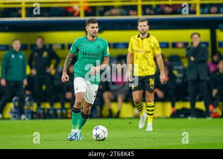 Dortmund, 7. November 2023: Bruno Guimaraes (39 Newcastle) beim Fußball-Spiel der UEFA Champions League Gruppe F zwischen Borussia Dortmund und Newcastle United im Signal Iduna Park in Dortmund. (Daniela Porcelli/SPP) Credit: SPP Sport Press Photo. /Alamy Live News Stockfoto