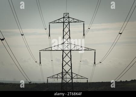 Eine Luftaufnahme einer Reihe von Hochspannungs-Strommasten und Stromleitungen, die sich über eine Landschaft erstrecken Stockfoto