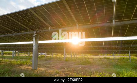 Solarfeld oder pv-Anlage mit Tracker und bifazialen Modulen Stockfoto