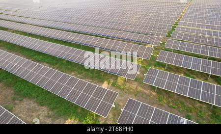 Solarfeld oder pv-Anlage mit Tracker und bifazialen Modulen Stockfoto