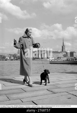 Modisch in den 1950er Jahren Eine junge Frau trägt einen typischen Mantel aus den 1950er Jahren. Sie hält einen kleinen schwarzen Hund, der 1950 an der Uferpromenade von Stockholm, Schweden, steht. Ref. I814 Stockfoto