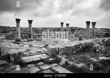 Eine Graustufe der Zitadelle von Amman, Jordanien, Naher Osten Stockfoto