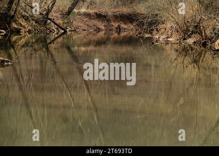 Blackwater Creek in Lynchburg, Virginia, USA Stockfoto