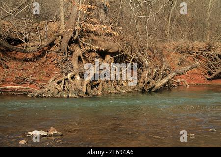 Blackwater Creek in Lynchburg, Virginia, USA Stockfoto