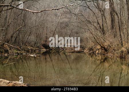 Blackwater Creek in Lynchburg, Virginia, USA Stockfoto