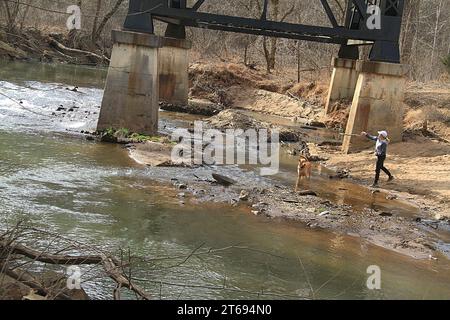 Lynchburg, Virginia, USA. Frau wirft einen Stock in den Bach, damit ihr Hund ihn holen kann. Stockfoto