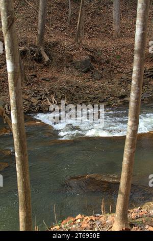 Der Blackwater Creek in Lynchburg, Virginia, USA Stockfoto