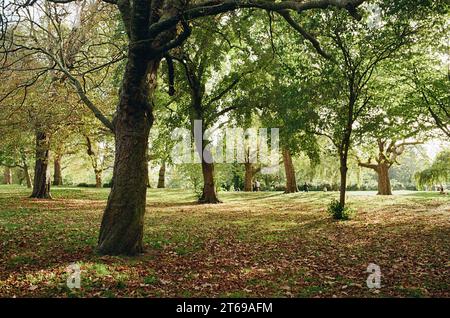 Finsbury Park im London Borough of Haringey, London UK, im frühen Herbst Stockfoto