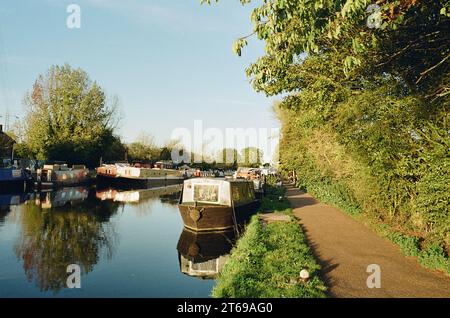 Der Fluss Lea auf den Tottenham Marshes, London Großbritannien, am späten Nachmittag im Oktober Stockfoto