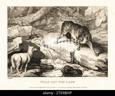 Ein Wolf versucht zu rechtfertigen, ein Lamm in der Nähe eines Flusses zu töten. Wolf und Lamm. Illustration einer Fabel des griechischen Autors Aesop. Kupferstichradierung gezeichnet und aus dem Leben von Samuel Howitt aus seinem eigenen A New Work of Animals, hauptsächlich entworfen aus den Fabeln von Aesop, Gay and Phaedrus, Edward Orme, London, 1811. Stockfoto