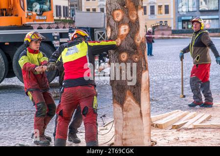 Drei Wochen vor dem Start wurde am Donnerstagmorgen 09.11.2023 auf dem Leipziger Marktplatz der Baum für den Weihnachtsmarkt aufgestellt. In diesem Jahr handelt es sich um eine 21 Meter hohe und 50 Jahre alte Douglasie aus Torgau in Nordsachsen. Wie das Marktamt der Messestadt mitteilt, hatte der Besitzer den Baum selbst angeboten, da der Baum für sein Grundstück zu groß wurde und in neue Zeit hätte fallen werden müssen. Die Douglasie wurde am Vortag und von einer Spezialfirma aus dem Vogtland nach Leipzig gebracht. Am Morgen wurde er schließlich von den Experten vorbereitet und in einer Stockfoto