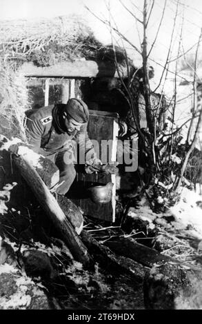 Deutscher Stabsfeldwebel kriecht aus einem Graben bei Bestowo auf den Waldai-Höhen im nördlichen Teil der Ostfront. Foto: Ulrich. [Automatisierte Übersetzung] Stockfoto