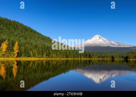 Mt. Die Kapuze mit Schnee spiegelt sich im Trillium Lake an einem klaren Herbsttag Stockfoto