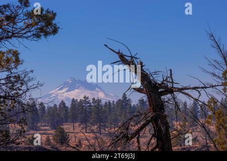 Mt. Blick auf die Kapuze von der Ostseite, ein Stratocolcano, 11.249 Meter hoch, ist ein vulkanischer Gipfel in der Cascade Mountain Range in Oregon, USA. Stockfoto