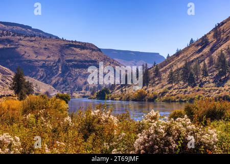 Rimrock Klippen aus Basaltgestein stehen oberhalb des Deshutes River in der Nähe von Warmsprings, Oregon. Stockfoto