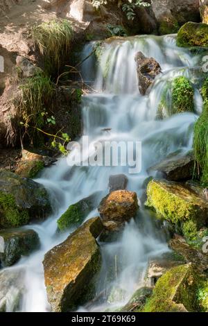 Ein ruhiger Bergbach schlängelt sich durch eine üppige Landschaft, gesäumt von lebhaften moosbedeckten Felsen Stockfoto