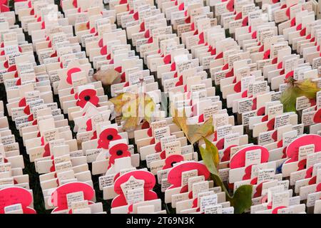 Westminster Abbey, London, Großbritannien. November 2023. Gedenktag: Das Feld der Erinnerung in der Westminster Abbey. Quelle: Alamy Live News Stockfoto