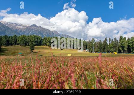 Baisaran Valley in Kaschmir, Mini Schweiz von Indien in Pahalgam, Kaschmir Stockfoto