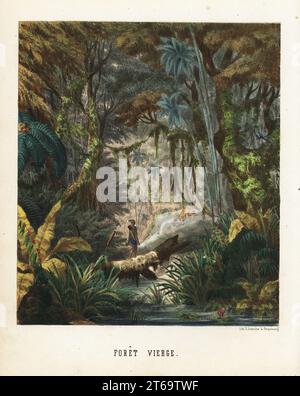 Virgin Forest Landschaft im Amazonas, Südamerika. Ein einheimischer Amerikaner mit Axt, Bogen und Pfeilen geht über einen umgestürzten Baum und jagt einen Puma im Wald. Foret vierge. Handkolorierte Lithografie von Emile Lemaitre aus Munerelles Les Phenomenes et Curiosites de la Nature (Naturphänomene und Kuriositäten), Libraire Derivaux, Straßburg, 1856. Stockfoto