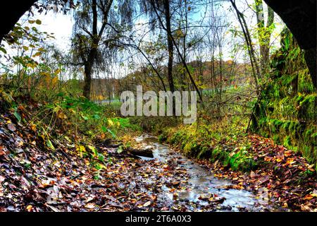 Blick auf einen alten Culvert im Herbst im Osten von Ohio Stockfoto