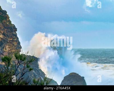 Eine ruhige Küstenszene mit stürzenden Wellen und einem einsamen Vogel auf zerklüfteten Felsen Stockfoto
