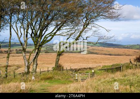 Saddle Gate auf der Nordseite der Ketten im Exmoor National Park, Devon, England. Stockfoto