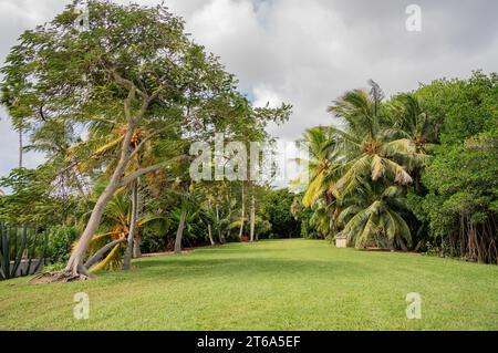 Der Kampong, National Tropical Botanical Garden in Miami, Florida: Landschaft mit wunderschönen Bäumen, Grünflächen und Himmel. Stockfoto