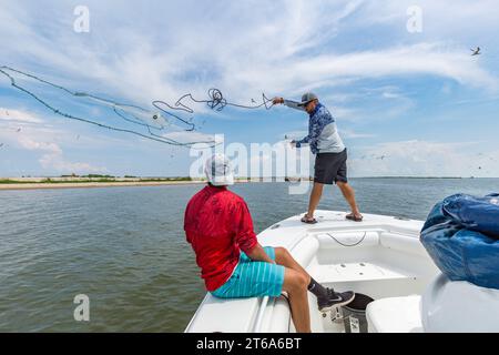 Fischer werfen ein Netz, um Köderfische für einen Offshore-Angelausflug im Golf von Mexiko zu fangen Stockfoto