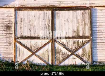 Skagit Flats Scheunentore, Skagit County, Washington Stockfoto