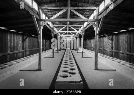 KZ Auschwitz für Gefangene gab es Gemeinschaftstoiletten in Latrinenschuppen *** Konzentrationslager Auschwitz es gab kommunale Toiletten für Gefangene in Latrinenschuppen xMMx Credit: Imago/Alamy Live News Stockfoto